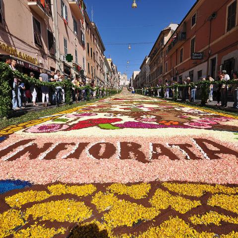 infiorata 