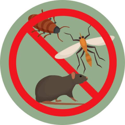 disinfestazione